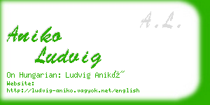 aniko ludvig business card